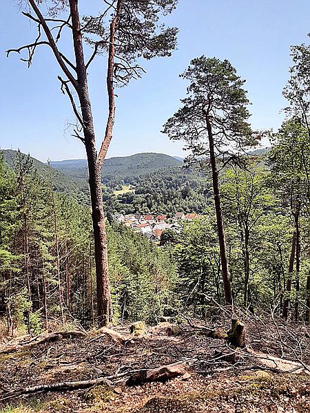Foto:: Hinterweidenthaler Teufelstischtour / Hinterweidenthal / 21.07.2021 (Foto,Fotos,Bilder,Bild,)