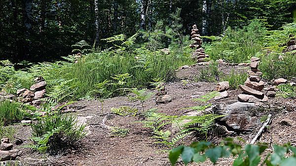 Foto:: Hinterweidenthaler Teufelstischtour / Hinterweidenthal / 21.07.2021 (Foto,Fotos,Bilder,Bild,)
