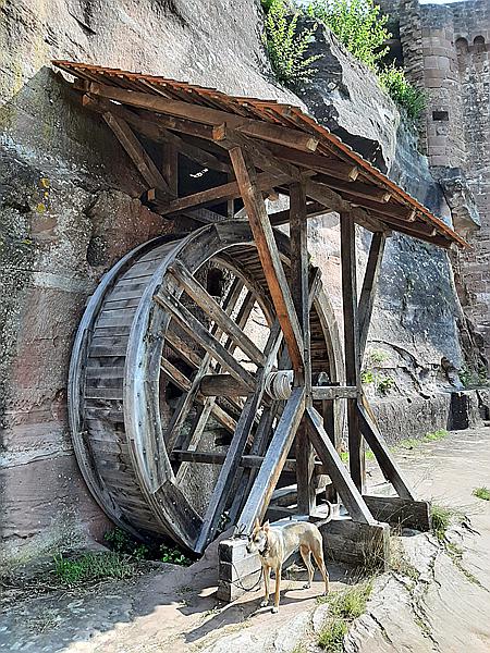 Foto:: Altdahner Burgengruppe / Dahn / 21.07.2021 (Foto,Fotos,Bilder,Bild,)