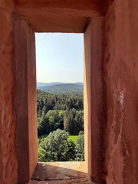 Foto:: Altdahner Burgengruppe / Dahn / 21.07.2021 (Foto,Fotos,Bilder,Bild,)