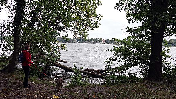Foto:: Wanderung / Berlin / 17.08.2021 (Foto,Fotos,Bilder,Bild,)