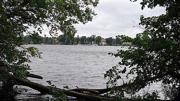 Foto:: Wanderung / Berlin / 17.08.2021 (Foto,Fotos,Bilder,Bild,)