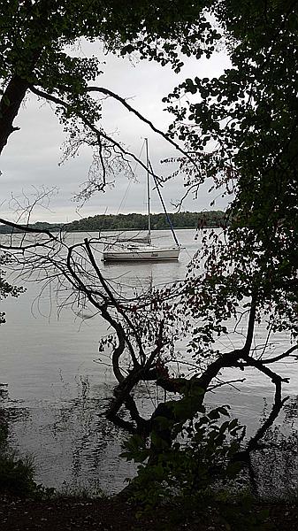 Foto:: Wanderung / Berlin / 17.08.2021 (Foto,Fotos,Bilder,Bild,)