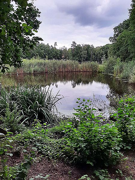 Foto:: Wanderung / Berlin / 18.08.2021 (Foto,Fotos,Bilder,Bild,)