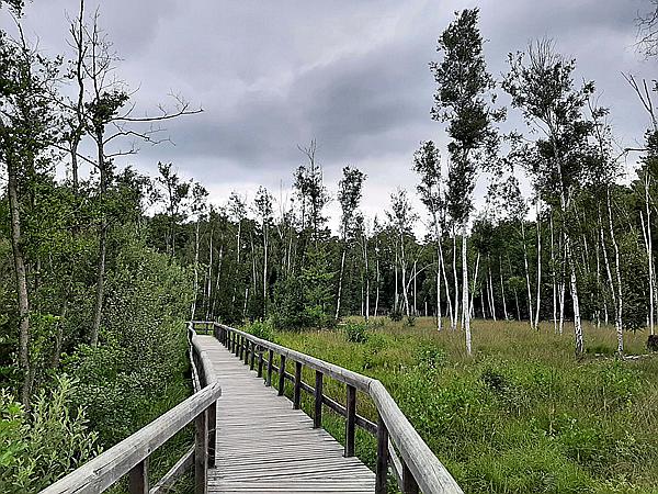 Foto:: Wanderung / Berlin / 18.08.2021 (Foto,Fotos,Bilder,Bild,)