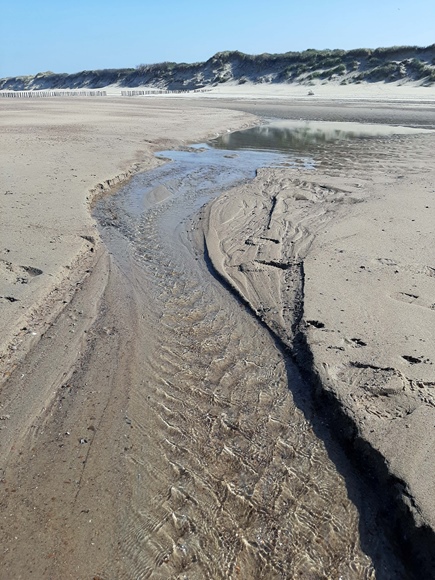 Foto:: 06.05.2022 Ausflug an die Nordsee / Trip to the North Sea (Foto,Fotos,Bilder,Bild,)