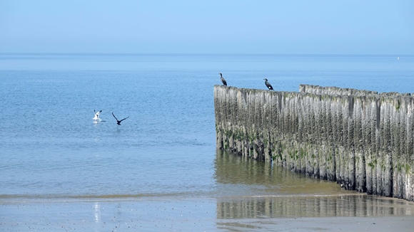 Foto:: 06.05.2022 Ausflug an die Nordsee / Trip to the North Sea (Foto,Fotos,Bilder,Bild,)