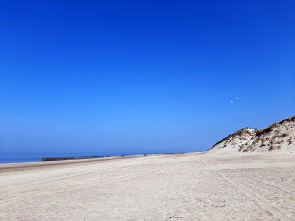 Foto:: 06.05.2022 Ausflug an die Nordsee / Trip to the North Sea (Foto,Fotos,Bilder,Bild,)