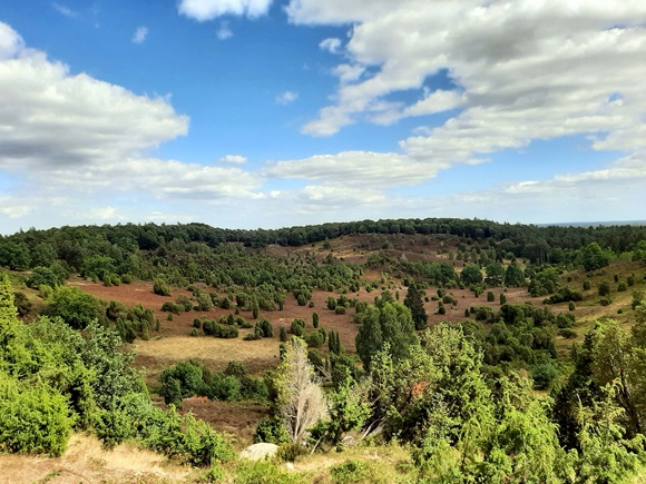 Foto:: August 2022: Ausflug in die Lueneburger Heide / Trip to Lueneburg Heath (Foto,Fotos,Bilder,Bild,)