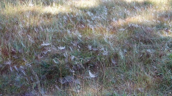 Foto:: Herbsturlaub in Kruen 2022 / Autumn vacation in Kruen, Bavaria 2022 (Foto,Fotos,Bilder,Bild,)