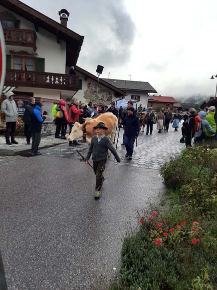 Foto:: Herbsturlaub in Kruen 2022 / Autumn vacation in Kruen, Bavaria 2022 (Foto,Fotos,Bilder,Bild,)