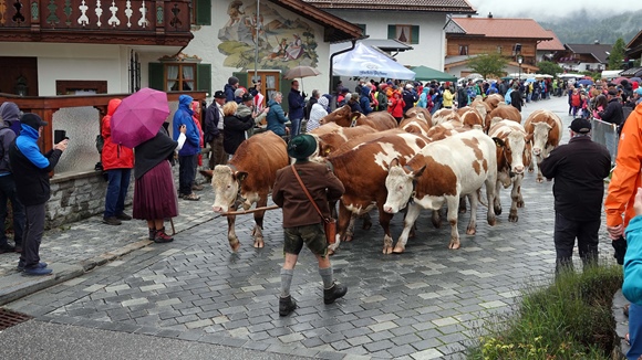 Foto:: Herbsturlaub in Kruen 2022 / Autumn vacation in Kruen, Bavaria 2022 (Foto,Fotos,Bilder,Bild,)