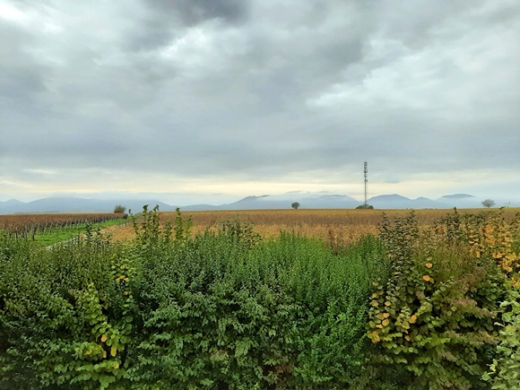 Foto:: Kurzurlaub im Herbst in Heuchelheim 2022 / Short autumn vacation in Heuchelheim 2022 (Foto,Fotos,Bilder,Bild,)