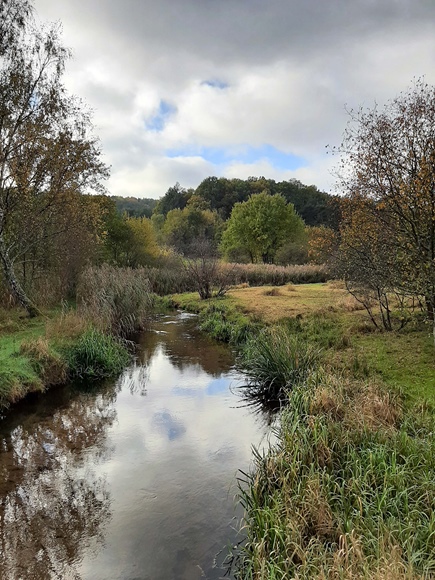 Foto:: Kurzurlaub im Herbst in Heuchelheim 2022 / Short autumn vacation in Heuchelheim 2022 (Foto,Fotos,Bilder,Bild,)