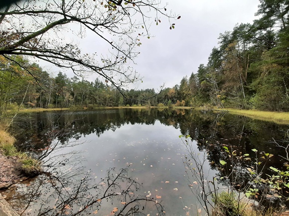 Foto:: Kurzurlaub im Herbst in Heuchelheim 2022 / Short autumn vacation in Heuchelheim 2022 (Foto,Fotos,Bilder,Bild,)