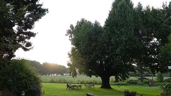 Foto:: ARDMORE Guest Farm / Champagne Valley / 25.03.2023 (Foto,Fotos,Bilder,Bild,)