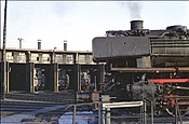 Foto SP_0911_00007: DB 043 196-5 / Rheine / 13.01.1975