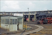 Foto SP_1051_00029: DB 042 113-1, DB 221 145-6 + DB 043 321-9 / Rheine / 20.03.1977