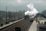 Foto SP_1054_00019: DR 03 2250-3 + DR 277 / Berlin / 07.04.1977