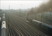 Foto SP_1075_00022: DB 043 636-0 + DB 430 / Dortmund / 11.09.1977
