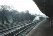 Foto SP_1104_00030: DR 52 8145-5 / Berlin / 23.03.1978