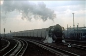 ID: 209: DR 03 2126-5 / Berlin / 25.03.1978