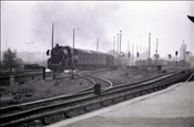 Foto SP_1109_11020: DR 52 1505-8 / Berlin / 14.05.1978