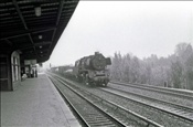 Foto SP_1110_10021: DR 50 0019-5 / Berlin / 15.05.1978