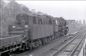 Foto SP_1110_10023: DR 50 0019-5 / Berlin / 15.05.1978