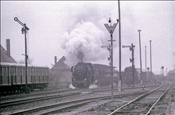Foto SP_1110_10029: DR 275, DR 52 8074-8 + DR 52 7329-7 / Berlin / 15.05.1978