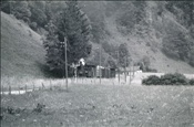 Foto SP_1115_10037: OeBB 298.52 / Klaus / 25.07.1978