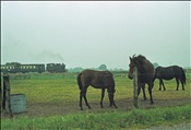 Foto SP_1118_00032: VSM4 / Apeldoorn - Loenen / 10.09.1978