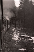 Foto SP_1119_50013: OeBB 699.01 / Langen-Buch / 30.12.1978