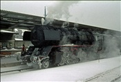 Foto SP_1120_22001: DR 50 0019-5 / Berlin / 15.02.1979