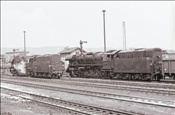 Foto SP_1120_75034: DR 44 0618-7 + DR 44 0305-1 / Saalfeld / April 1979