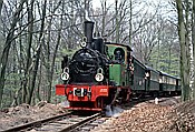 Foto SP_1129_00006: DEV Spreewald / Vilser Holz / 01.05.1980