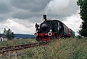 Foto SP_1145_00003: Alice Heye / Preussisch Oldendorf / 29.06.1980