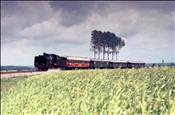 Foto SP_1152_00021: 24 083 / Beckum - Ruethen / 24.05.1981