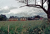 Foto SP_1152_50017: DKBM 5 Arthur Koppel / Guetersloh / 24.05.1981