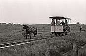 ID: 209: Wagen 21 / Spiekeroog / 30.05.1981