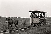 ID: 209: Wagen 21 / Spiekeroog / 30.05.1981