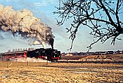 Foto SP_1157_70006: EK 24 009 / Enniger / 31.01.1982