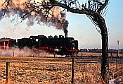 Foto SP_1157_70007: EK 24 009 / Enniger / 31.01.1982