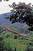 Foto SP_1160_00035: DB 151 / Lohr / 03.07.1982