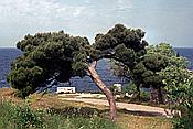 ID: 209: Urlaub / Rovinj / Mai 1983