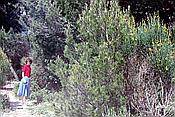 ID: 209: Urlaub / Rovinj / Mai 1983
