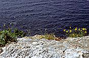 Foto SP_1984_05115: Wanderung / Port de Soller / Mai 1984