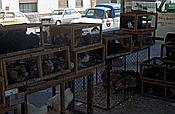 ID: 209: Wochenmarkt / Inca / Mai 1984