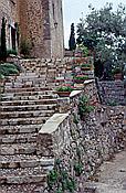 ID: 209: Rundgang / Deia / Mai 1984