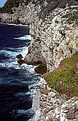 ID: 209: Rundgang / Port de Soller / Mai 1984
